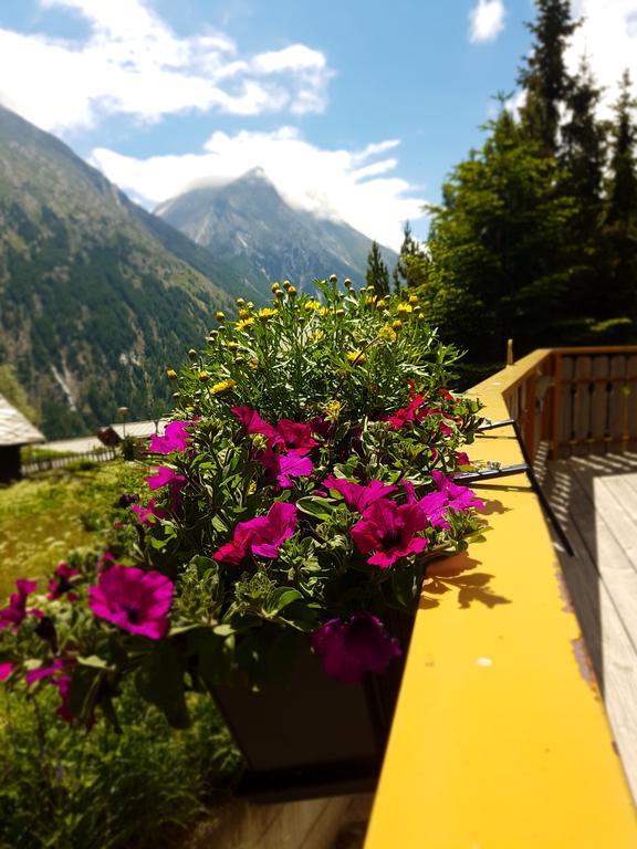 Hotel Alpenperle ซาสฟี ภายนอก รูปภาพ